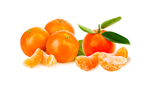 Mandalina Çeşitleri