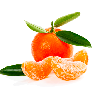 Satsuma Mandalina