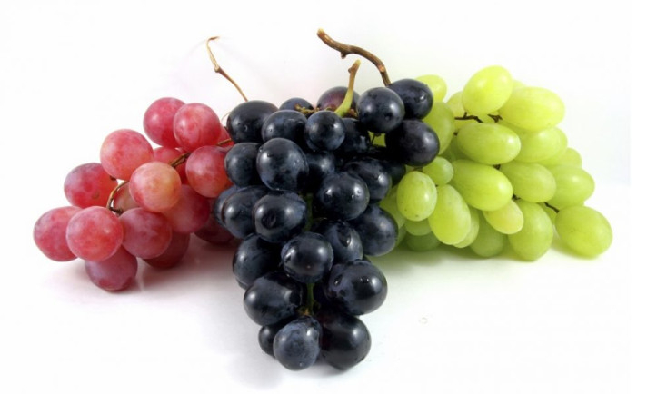 Üzüm