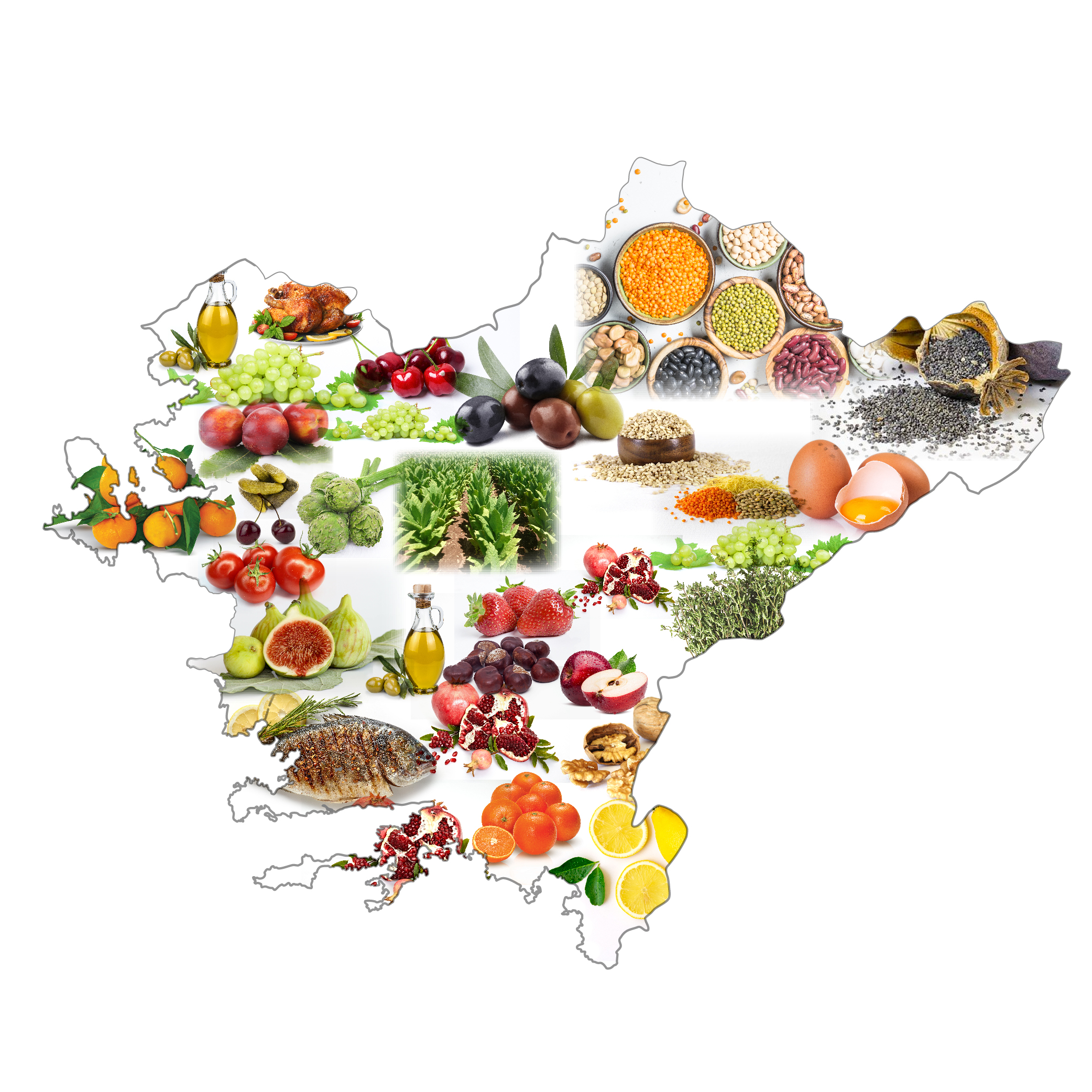 30'dan fazla ülkeye meyve, sebze, narenciye ihraç ediyoruz.